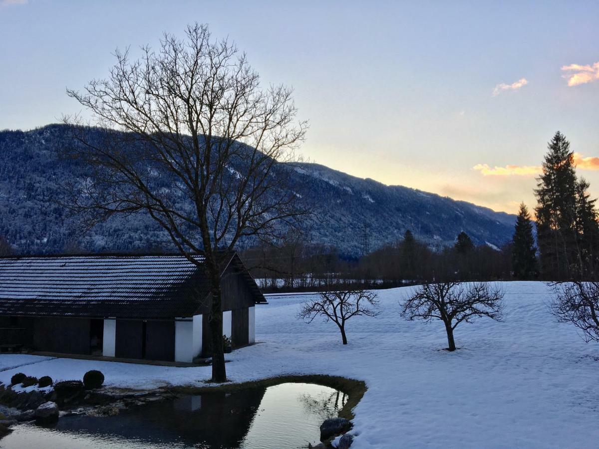 Assingerhof Lägenhet Sankt Stefan an der Gail Exteriör bild